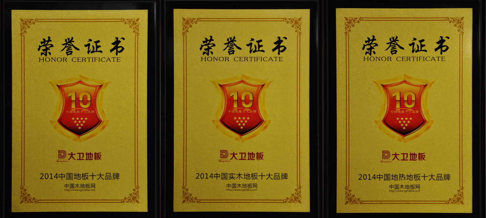 中國地板十大品牌大衛地板斬獲3項榮譽(1).jpg