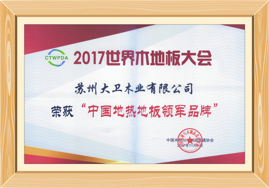 大衛地板榮獲“中國地熱地板領軍品牌”0.jpg